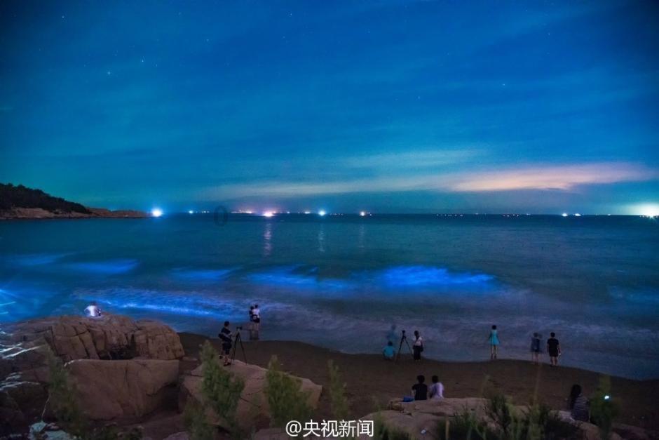 月光影视