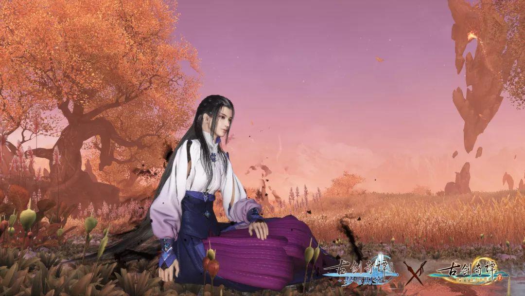 细胞分裂5