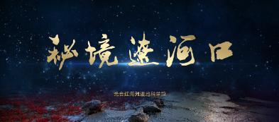 逃离野猫森林
