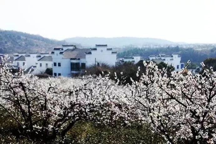 魂斗罗：归来