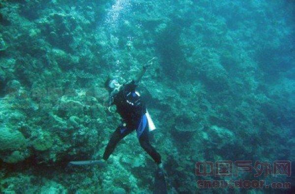 法国达飞海运集团避行苏伊士运河 绕道好望角