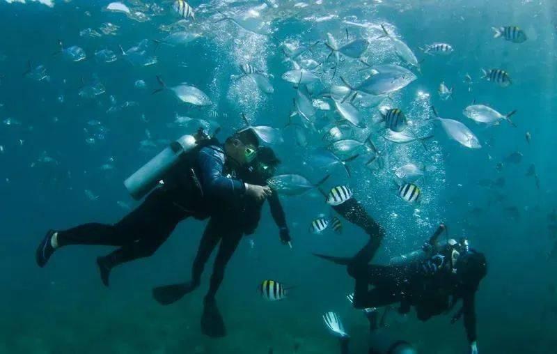 上海 | 上海西郊宾馆 “龙腾四海”火锅套餐